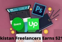 Pakistan Freelancers Earned $216.78 Million