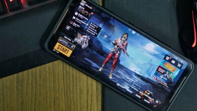 Written Complaint to Federal Government for Banning PubG