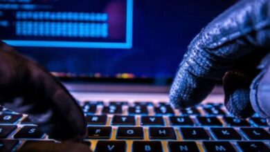 Government Websites Hit by a Massive Cyber Attack