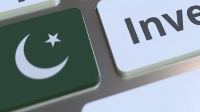 Pakistan Earns $1,947 Million From IT Services
