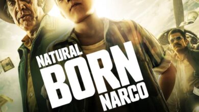 Roku Channel adds 50 free Live TV