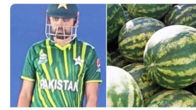 Pakistani Cricket Team Jersey For T20 World Cup 2022