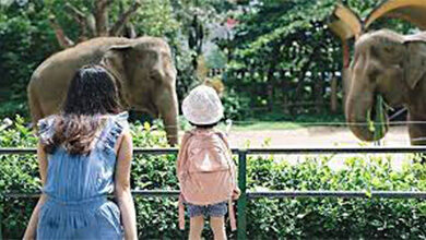 first virtual zoo in Pakistan