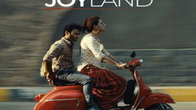 Controversy On Film Joyland