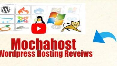 Mocha host WordPress Hosting Review 2023
