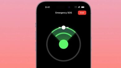 Globalstar launches satellites for Apple's iPhone SOS service for $64M from SpaceX