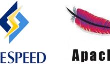 Litespeed or Apache Which One is Best for WordPress