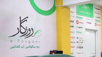 Govt To Establish 10,000 e-Rozgar centers